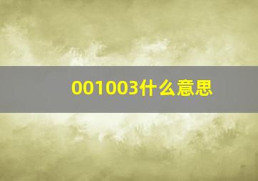 001003什么意思