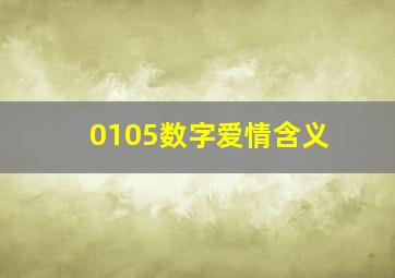 0105数字爱情含义