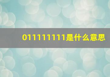 011111111是什么意思