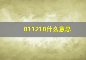 011210什么意思