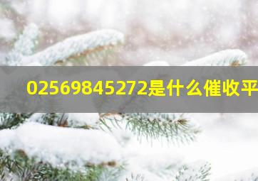 02569845272是什么催收平台