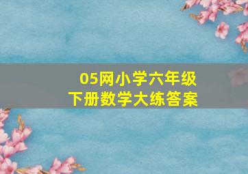 05网小学六年级下册数学大练答案