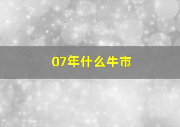 07年什么牛市