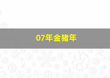 07年金猪年