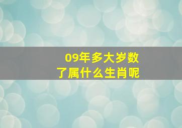 09年多大岁数了属什么生肖呢