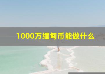 1000万缅甸币能做什么