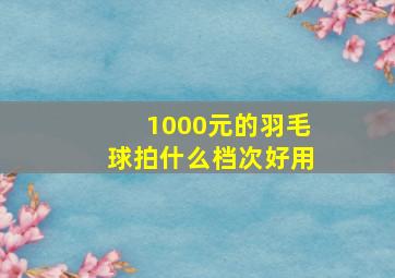 1000元的羽毛球拍什么档次好用