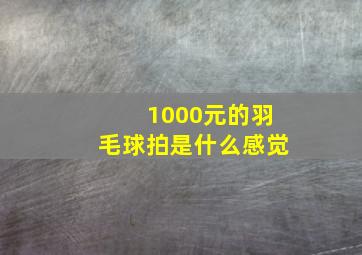 1000元的羽毛球拍是什么感觉