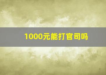 1000元能打官司吗