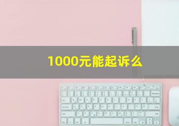 1000元能起诉么