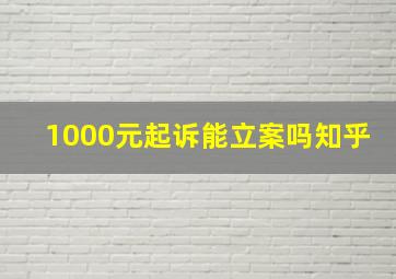 1000元起诉能立案吗知乎