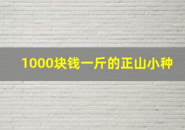 1000块钱一斤的正山小种