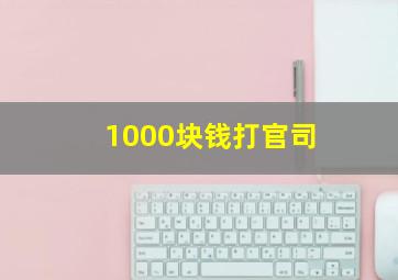 1000块钱打官司