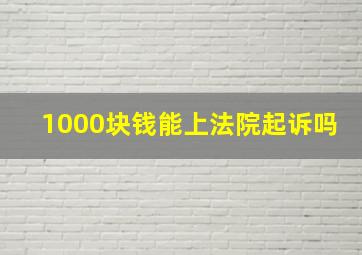 1000块钱能上法院起诉吗