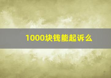 1000块钱能起诉么