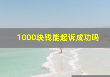 1000块钱能起诉成功吗