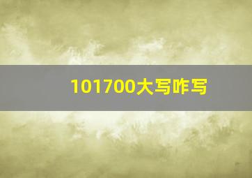 101700大写咋写