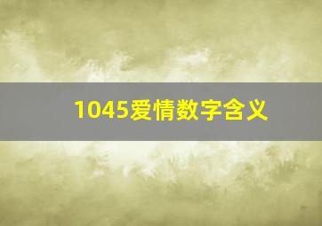 1045爱情数字含义