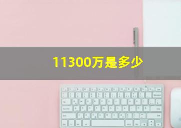 11300万是多少