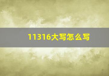 11316大写怎么写