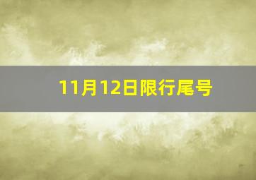 11月12日限行尾号