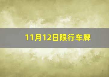 11月12日限行车牌