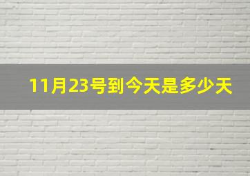 11月23号到今天是多少天