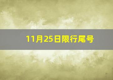 11月25日限行尾号