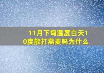 11月下旬温度白天10度能打燕麦吗为什么