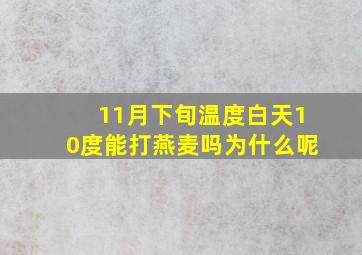 11月下旬温度白天10度能打燕麦吗为什么呢