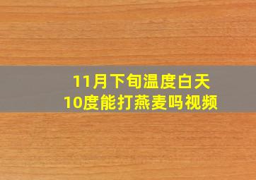 11月下旬温度白天10度能打燕麦吗视频