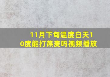 11月下旬温度白天10度能打燕麦吗视频播放