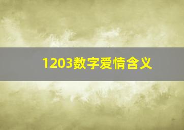 1203数字爱情含义