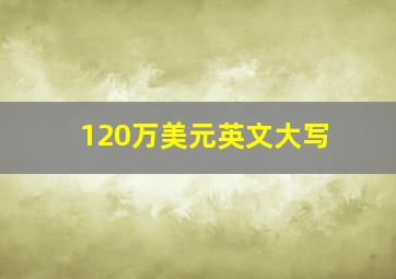 120万美元英文大写