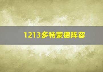 1213多特蒙德阵容