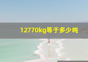 12770kg等于多少吨