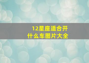 12星座适合开什么车图片大全