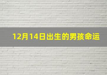 12月14日出生的男孩命运