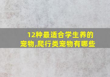 12种最适合学生养的宠物,爬行类宠物有哪些