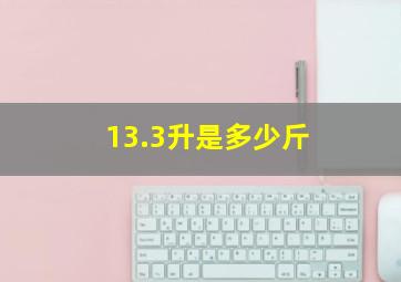 13.3升是多少斤