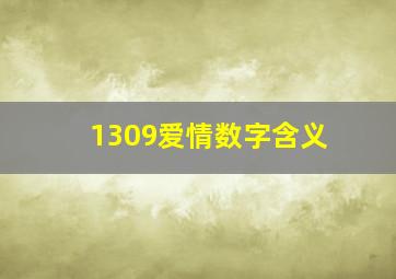 1309爱情数字含义