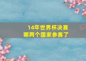 14年世界杯决赛哪两个国家参赛了