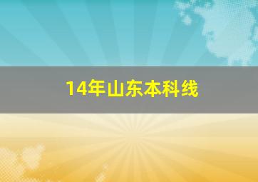 14年山东本科线