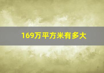 169万平方米有多大