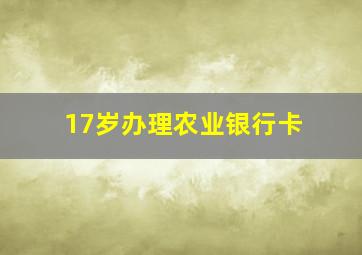 17岁办理农业银行卡