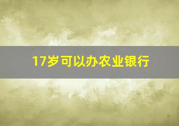 17岁可以办农业银行