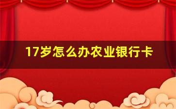 17岁怎么办农业银行卡