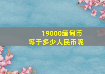 19000缅甸币等于多少人民币呢