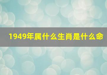 1949年属什么生肖是什么命