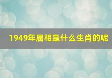 1949年属相是什么生肖的呢